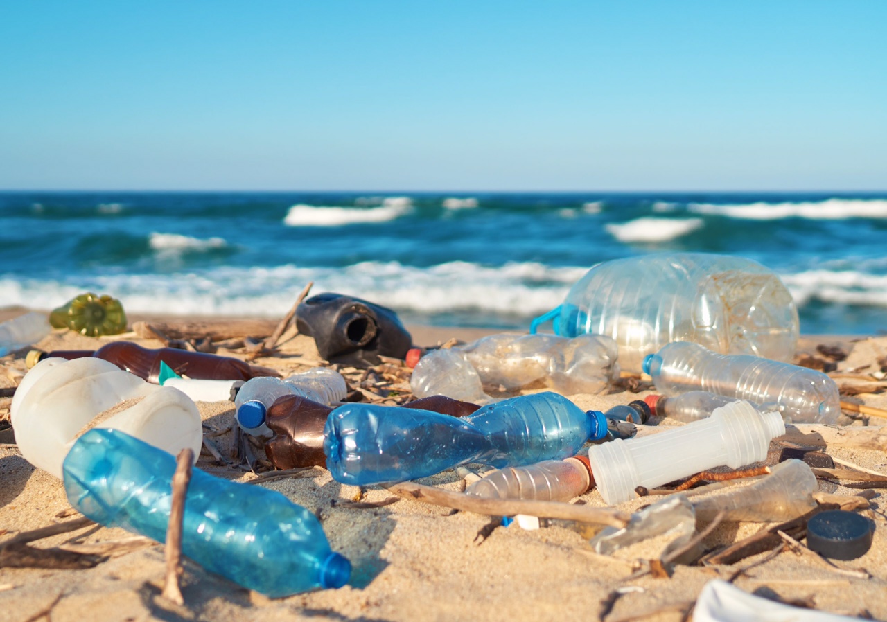 CasaWeb.Club est Engagé Pour l´Environnement. Une stratégie pour combattre la pollution plastique dans nos océans, garantissant un écosystème marin plus propre et plus durable pour les générations futures.